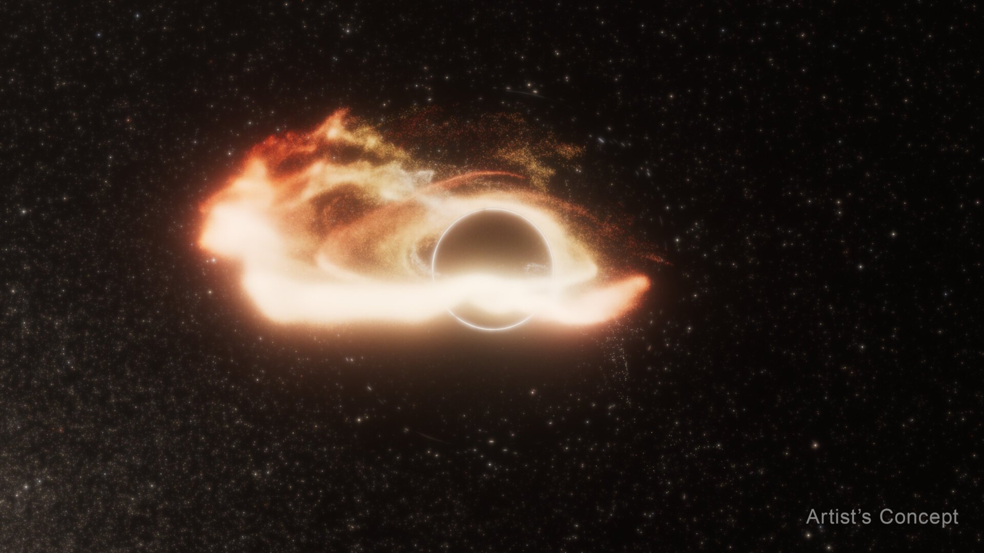 Black hole, supermassive black hole, tidal disruption event, TDE, AT2024tvd, rogue black hole, offset black hole, galaxy, astronomy, astrophysics, Palomar Observatory, Zwicky Transient Facility, Hubble, Chandra, spaghettification, Vera Rubin Observatory, Roman Space Telescope, Yuhan Yao, Ryan Chornock, galactic center, black hole merger, triple black hole system, star, stellar, cosmology
