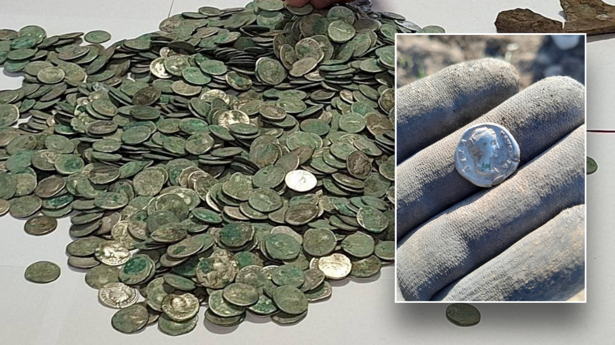 Roman coins, metal detector, treasure, Romania, Letca Veche, Marius Mangeac, archaeology, ancient history, hoard, silver denarii, Dacians, Transylvania
