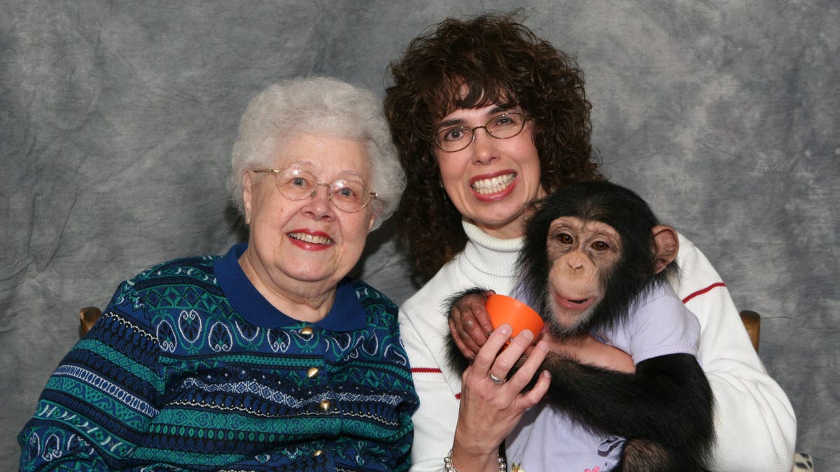 mother-child bond, motherhood, ridiculous experiences, joyful memories, unconventional fun, crazy activities, yes day, family traditions, silly gifts, grandparent-grandchild, photo with chimpanzee, strengthening relationships, creating memories, embracing joy, parenting, family activities, celebrating motherhood, funny family moments, goofy fun
