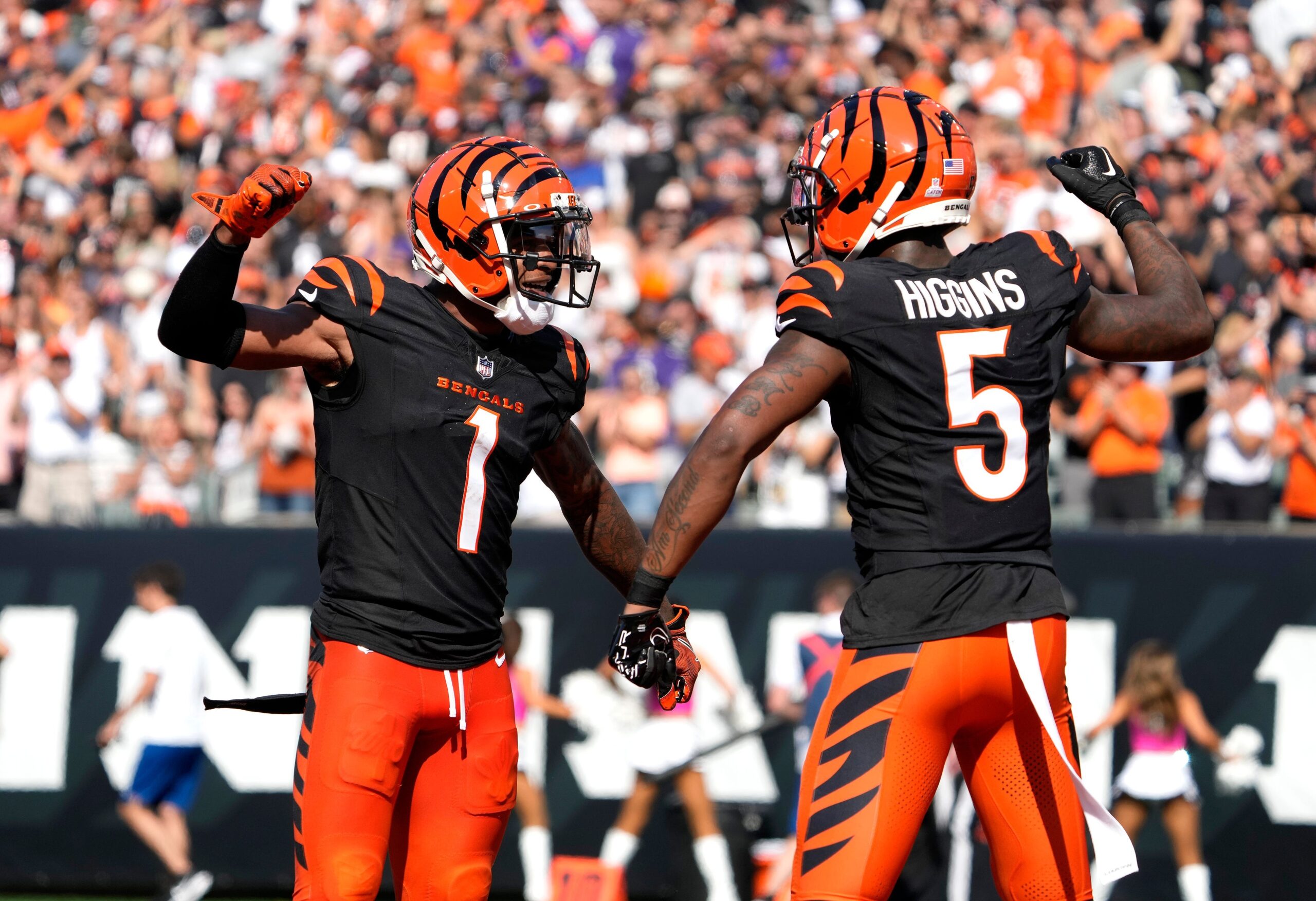 Cincinnati Bengals, Bengals 2025 season, Bengals schedule, Bengals record prediction, Joe Burrow, Ja'Marr Chase, Tee Higgins, Al Golden, Trey Hendrickson, Shemar Stewart, AFC North, NFL, Super Bowl odds, Bengals defense, Bengals offensive line, Chase Brown, Mike Gesicki, Bengals tickets
