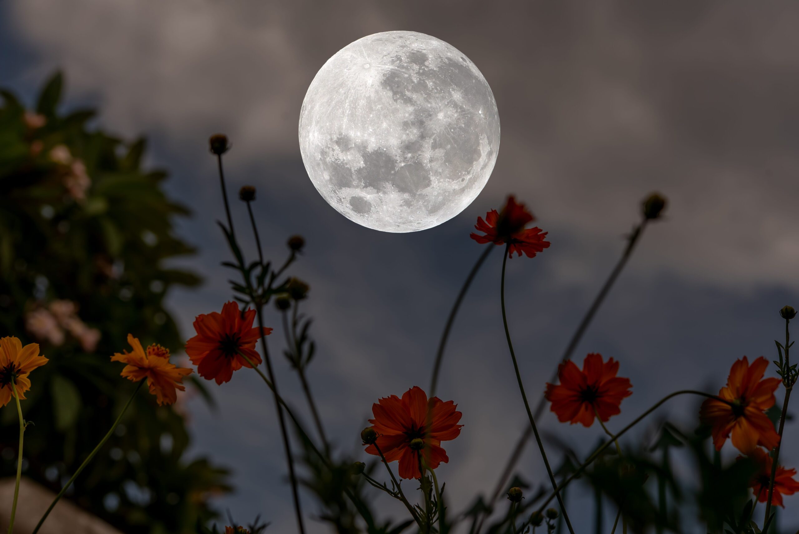 Flower Moon, May full moon, micromoon, May 12, 2025 full moon dates, Old Farmer's Almanac, NASA, astronomy, lunar events, night sky, celestial events
