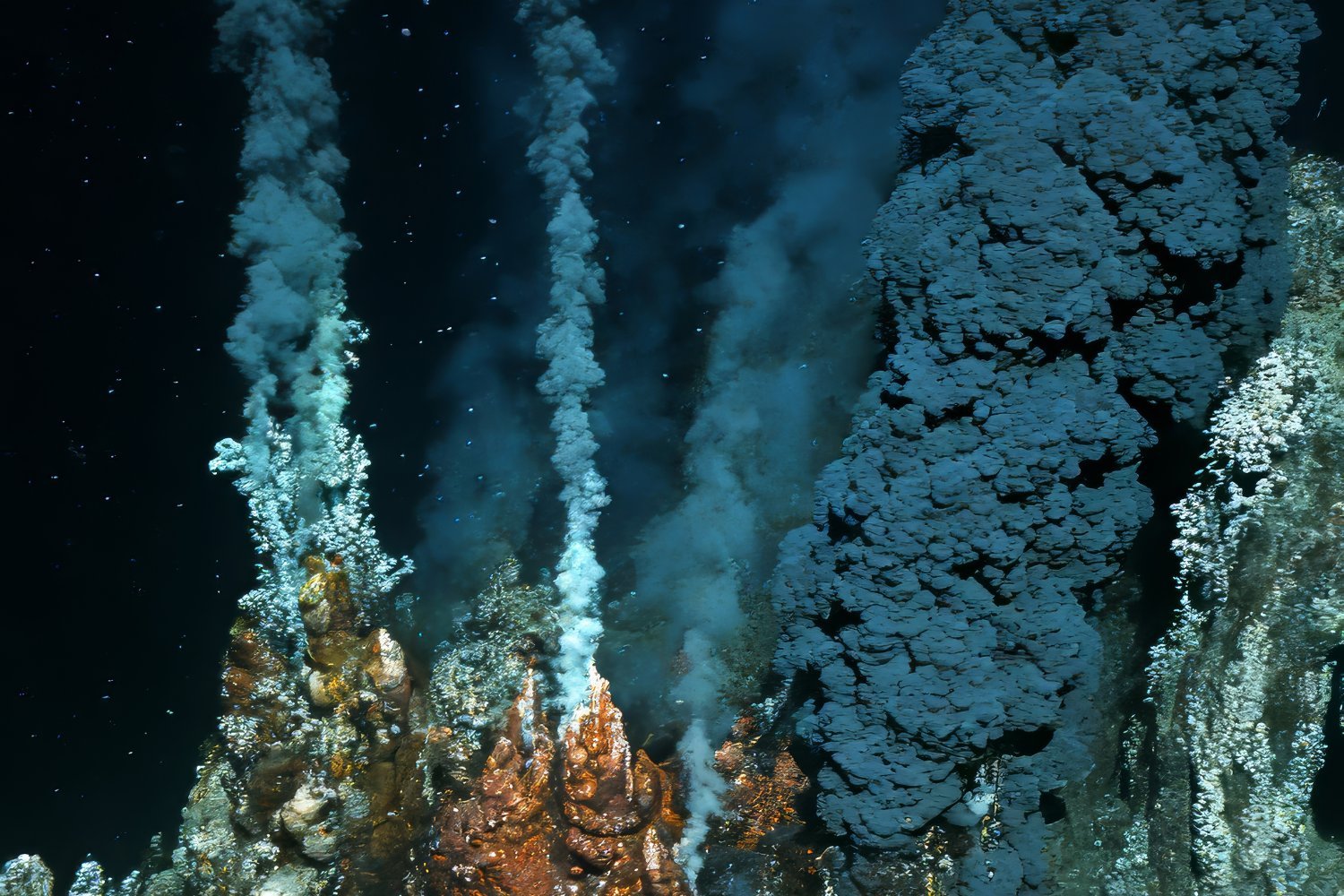 Intraterrestrials, Karen Lloyd, microbes, deep life, subsurface organisms, extreme environments, microbiology, biogeochemistry, evolution, deep sea, volcanoes, Arctic permafrost, tree of life, life without oxygen, subduction zone, New Zealand, scientific research, Earth's evolution, life on Earth, Gizmodo, science book, Princeton University Press

