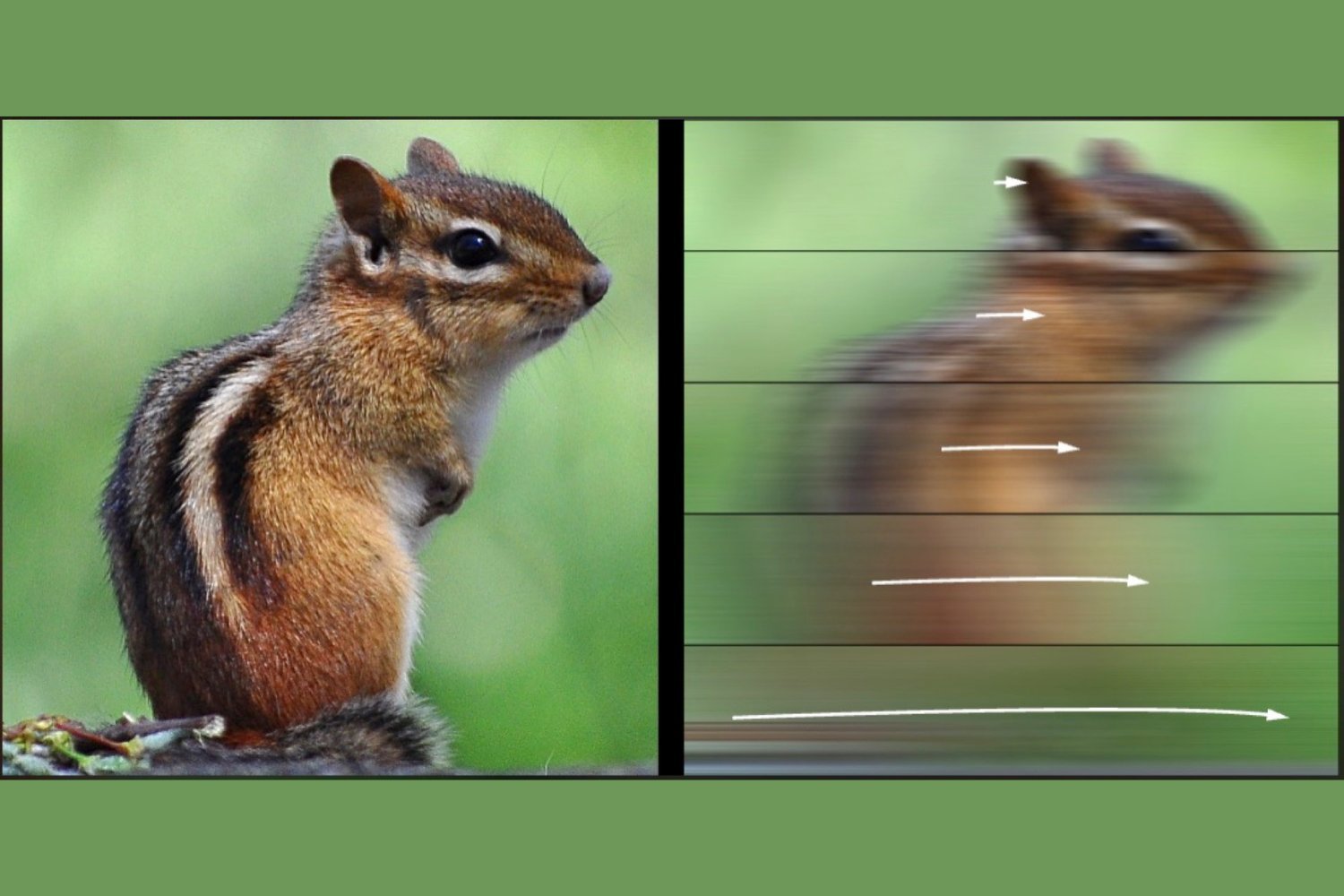 saccades, eye movements, vision, perception, motion, visual system, motor control, kinematics, sensory system, Martin Rolfs, Humboldt University of Berlin, Science of Intelligence, visual stimuli, blur, invisible objects, speed of perception
