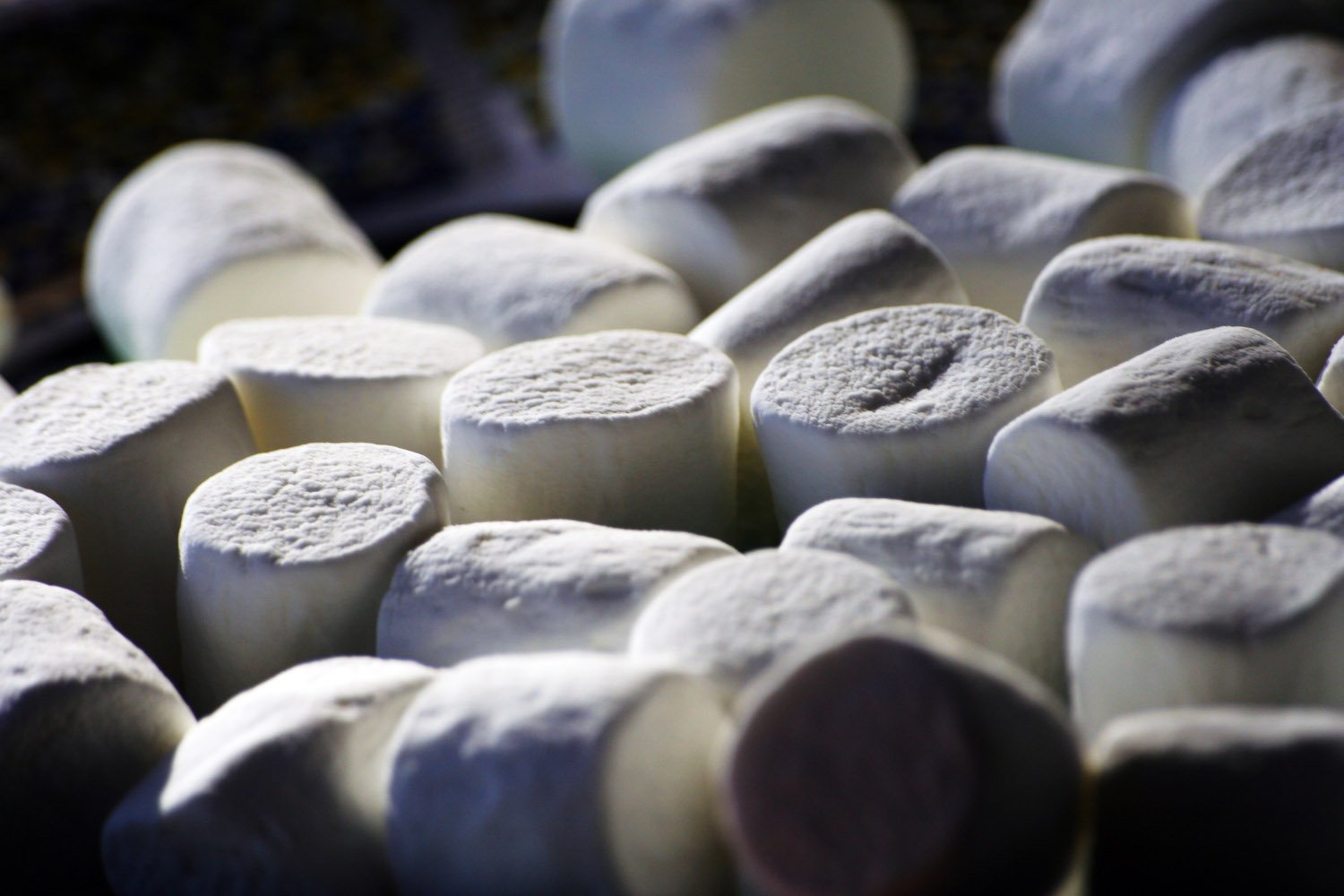 marshmallow test, delayed gratification, peer influence, child behavior, promises, cooperation, social influence, child development, Stanford marshmallow experiment, self-control, buddy system, childhood studies, Royal Society Open Science, Owen Waddington, University of Manchester
