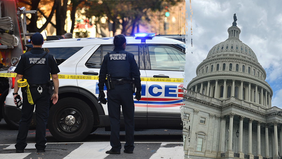 Sara Jacobs, carjacking, Washington D.C., Navy Yard, crime, Metropolitan Police Department, arrests, juvenile crime, iPhone, MacBook, Capitol parking pass, Sean Duffy, WMATA, transit safety, Donald Trump, crime-free capital
