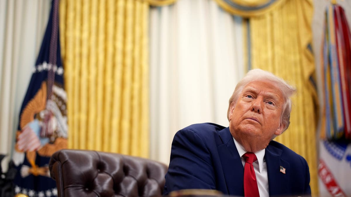 Donald Trump, executive orders, federal judges, judicial review, Supreme Court, Congress, checks and balances, Article III Project, America First Legal Foundation, Stephen Miller, John Roberts, Beryl Howell, court rulings, legal challenges, political counterpunches, judicial legitimacy
