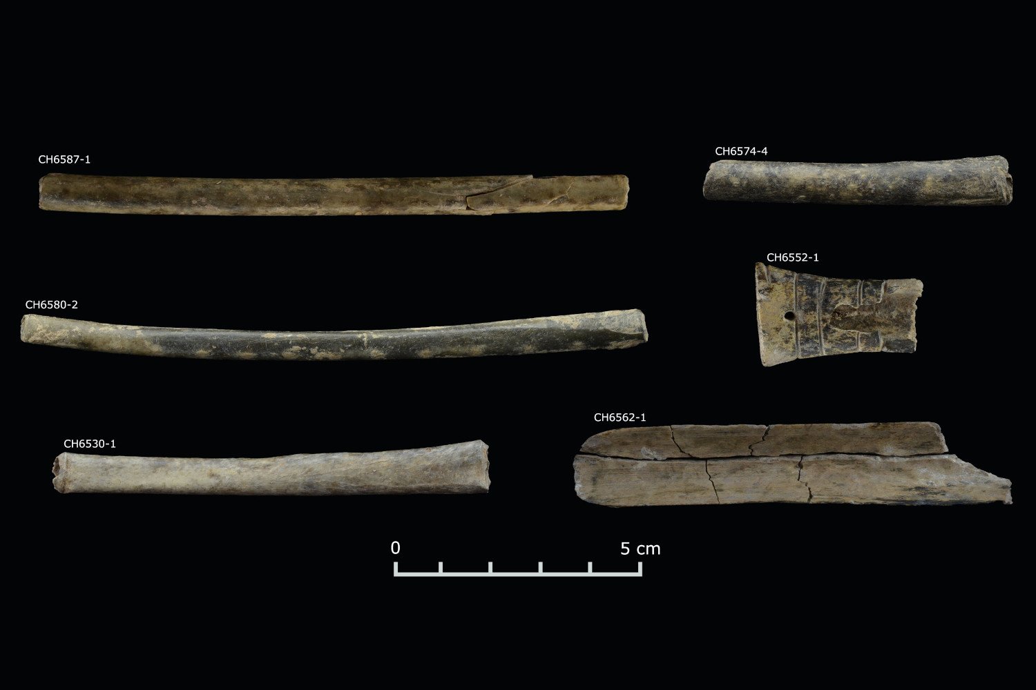 ancient Peru, Chavín, psychoactive drugs, DMT, rituals, hallucinogens, archaeology, Peruvian highlands, snuff tubes, social hierarchy, pre-Incan society, Chavín de Huántar
