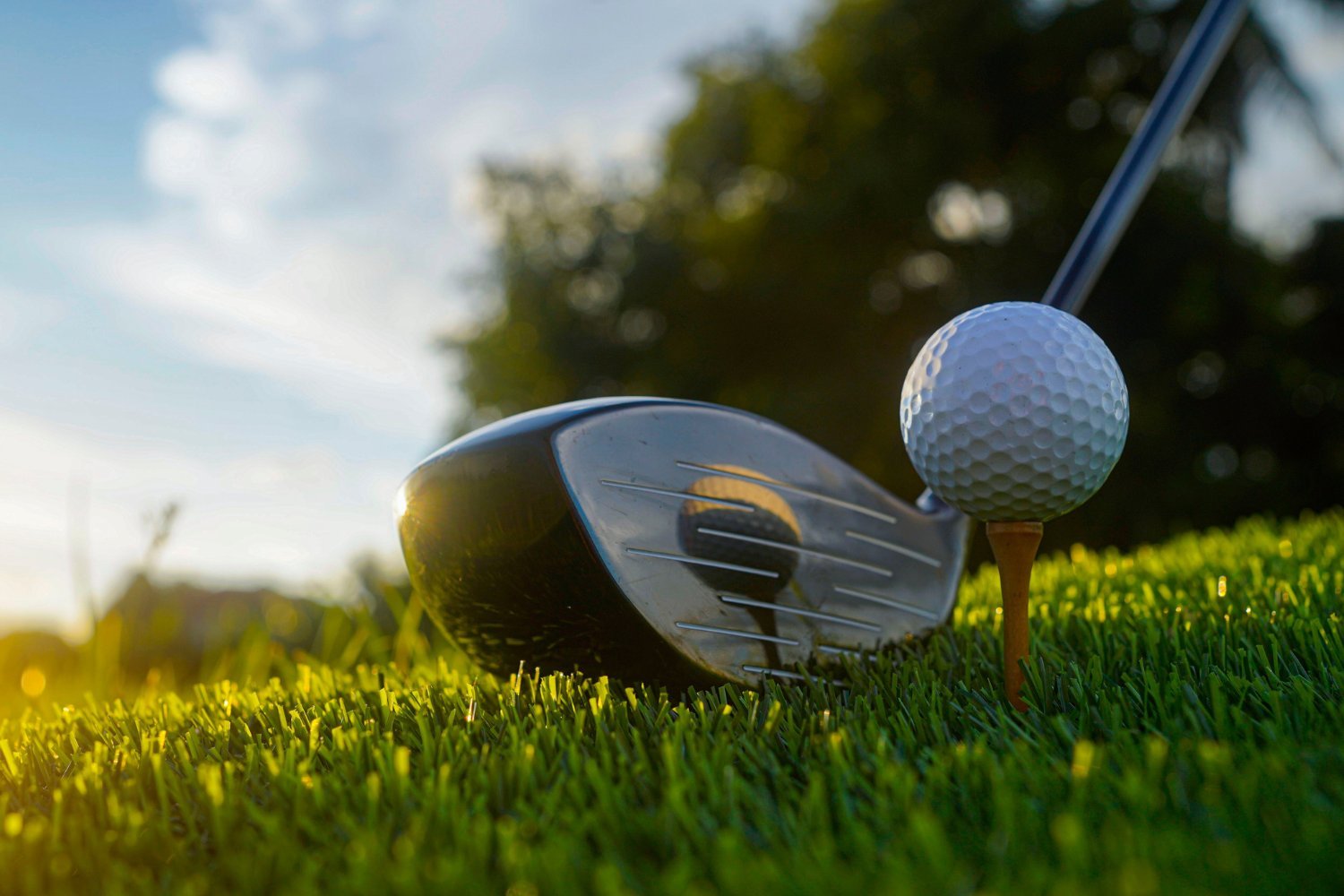 Parkinson's disease, golf courses, pesticides, environmental factors, neurodegenerative disorder, Mayo Clinic, Rochester Epidemiology Project, risk factors, paraquat, maneb, chlorpyrifos, toxin exposure, water contamination, public health, prevention
