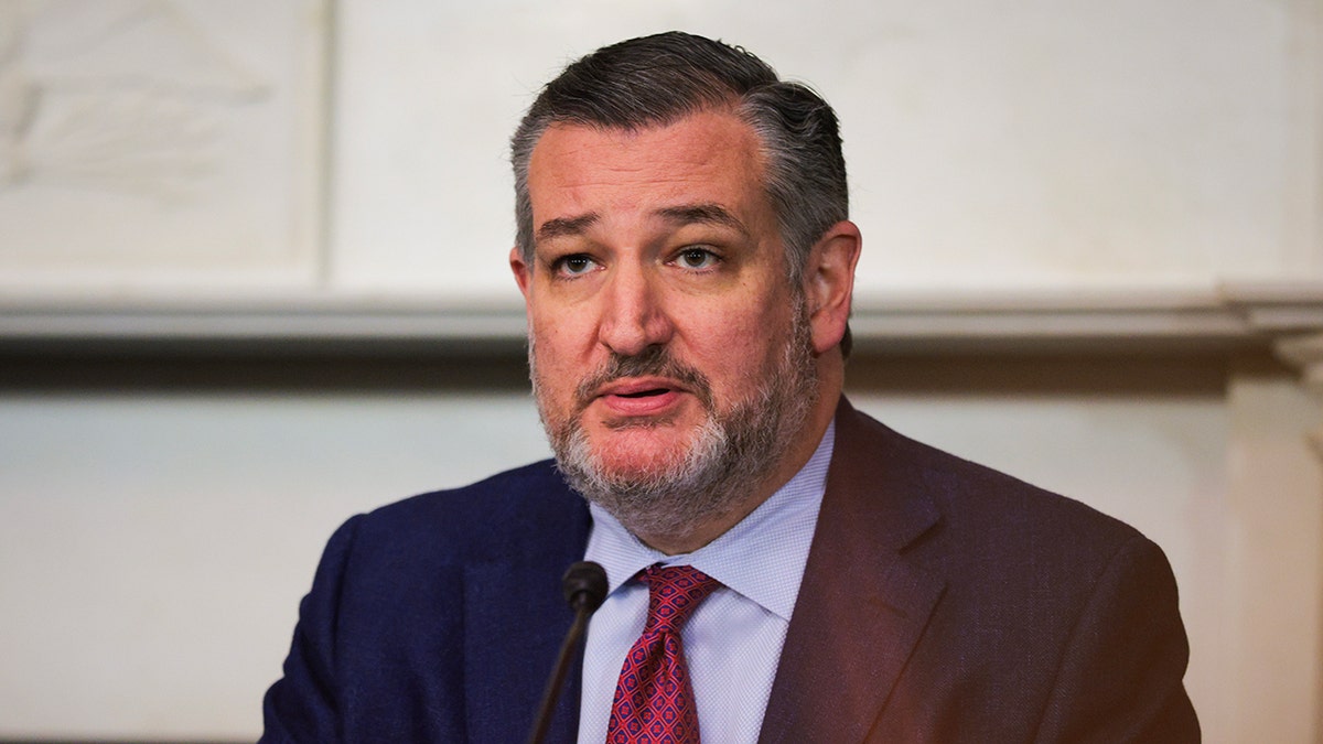 Ted Cruz, Invest America Act, child investment accounts, federal government, tax-advantaged accounts, S&P 500, capital gains tax, national debt, House Ways and Means Committee, MAGA accounts, American free enterprise system, Senator Ted Cruz, Republican proposal, economic participation, investment proposal
