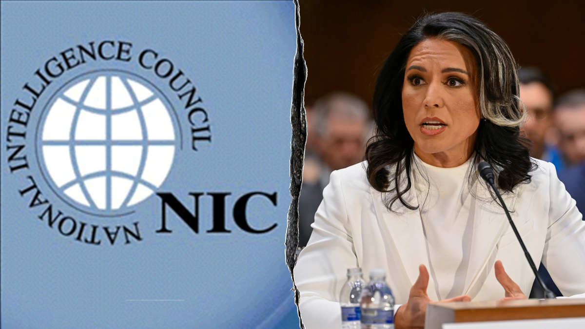 Tulsi Gabbard, National Intelligence Council, ODNI, Mike Collins, Maria Langan-Riekhof, intelligence leaks, classified information, deep state, Trump administration, politicization of intelligence, whistleblower complaints, Hunter Biden laptop, diversity equity inclusion, DOJ prosecution, transparency, accountability, Director's Initiative Group, intelligence community task force, declassification, intelligence nominees, Tren de Aragua gang, CIA detailees
