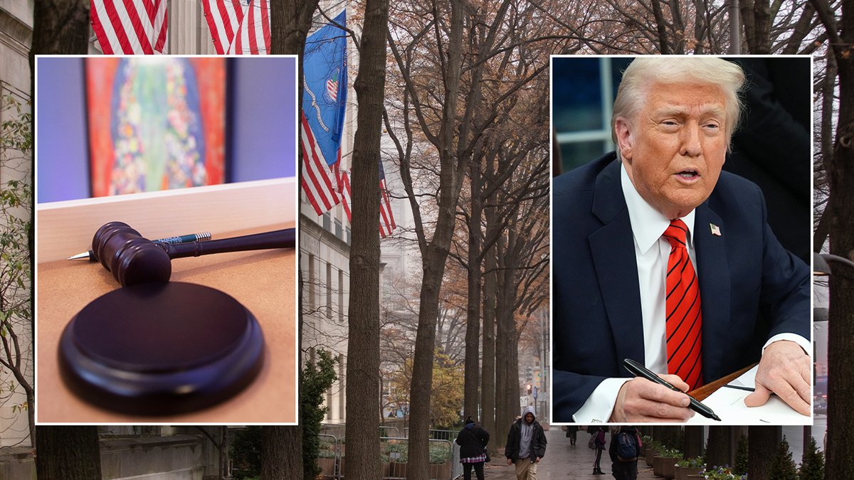Donald Trump, Lawsuits, Trump Administration, Executive Orders, Letitia James, Hakeem Jeffries, Ayanna Pressley, Jasmine Crockett, DOGE, Elon Musk, Treasury Department, Legal Challenges, Political Opposition, Government Efficiency, Fraud, Waste, Abuse, Democratic Party, Republican Party, 2024 Election, Lawfare, State Attorneys General
