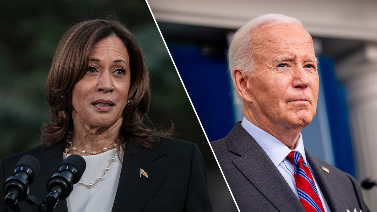 Joe Biden, Kamala Harris, 2024 Election, Donald Trump, David Plouffe, Barack Obama, Original Sin, Jake Tapper, Alex Thompson, Cognitive Decline, White House Aide, Chris Whipple, Uncharted, Mental Acuity, Democratic Party, Campaign, Politics, News, Fox News
