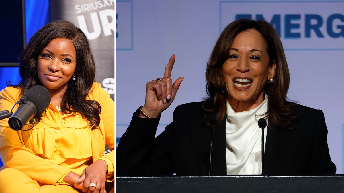 Kamala Harris, Jasmine Crockett, 2024 Election, Black Voters, Misogyny, Prosecutor, Criminal Justice Reform, Democratic Party, Chuck Todd, Political Analysis, Voter Turnout, Identity Politics, Second-Chance Programs, Marginalized Communities, Political Donors, 2028 Election
