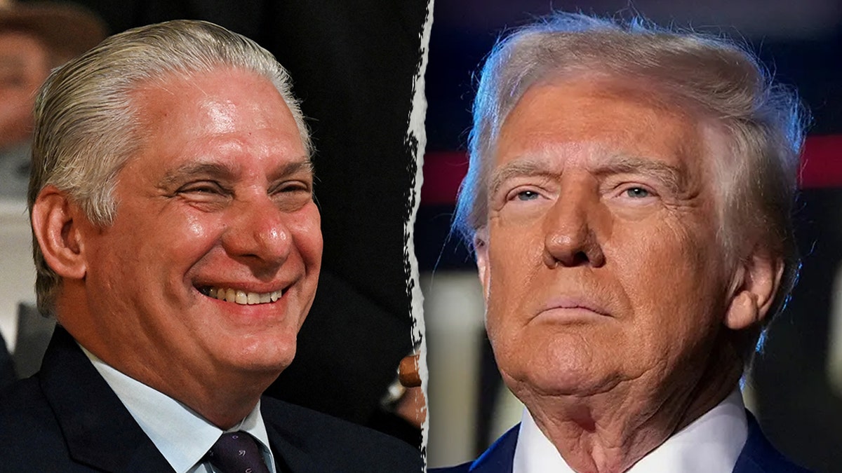 Cuba, U.S. State Department, Not Fully Cooperating Country, NFCC, counterterrorism, fugitives, extradition, Arms Export Control Act, Tammy Bruce, terrorism-related charges, Marco Rubio, Iran, Syria, Venezuela, North Korea, state sponsor of terrorism, Joe Biden, Donald Trump, U.S. Embassy in Cuba, international terrorism, safe harbor, Barack Obama, Joanne Chesimard, Assata Shakur, travel restrictions, financial restrictions
