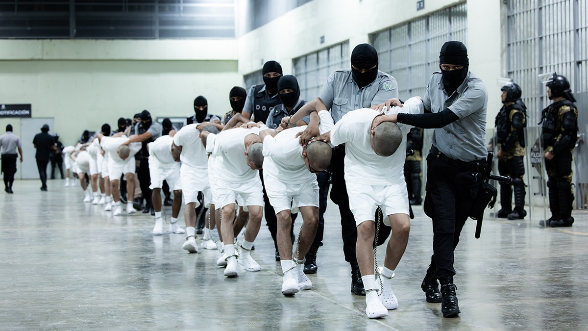 Alien Enemies Act, AEA, Tren De Aragua, deportation, illegal immigrants, Venezuelan gang, Trump administration, Stephanie Haines, Fernando Rodriguez Jr., foreign terrorist organization, due process, habeas corpus, executive order, proclamation, political branches, judicial review
