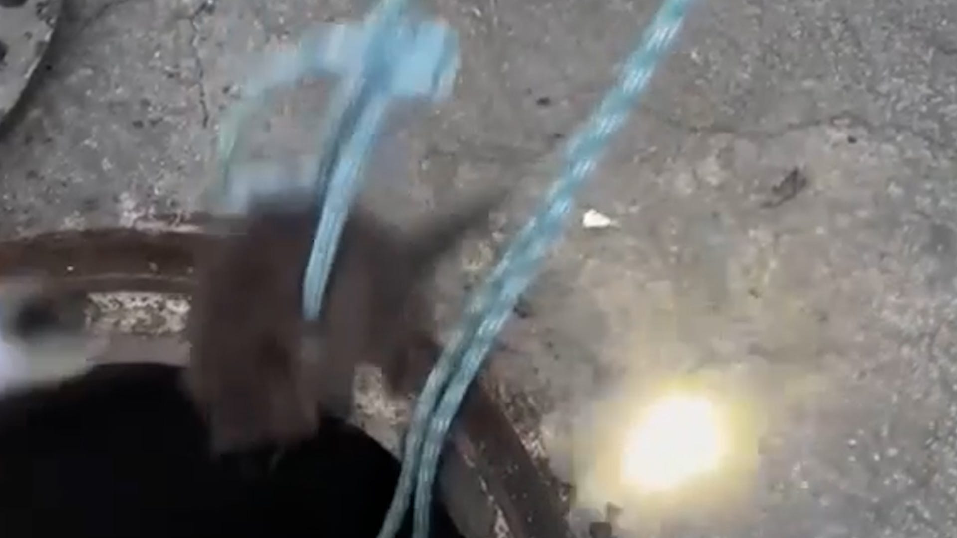 kitten rescue, storm drain, Chandler Arizona, firefighter, Riley, cat adoption, good news, uplifting stories, inspiring video, Humankind, rescue plan, animal rescue, Fire Department, kitten safety, positive news
