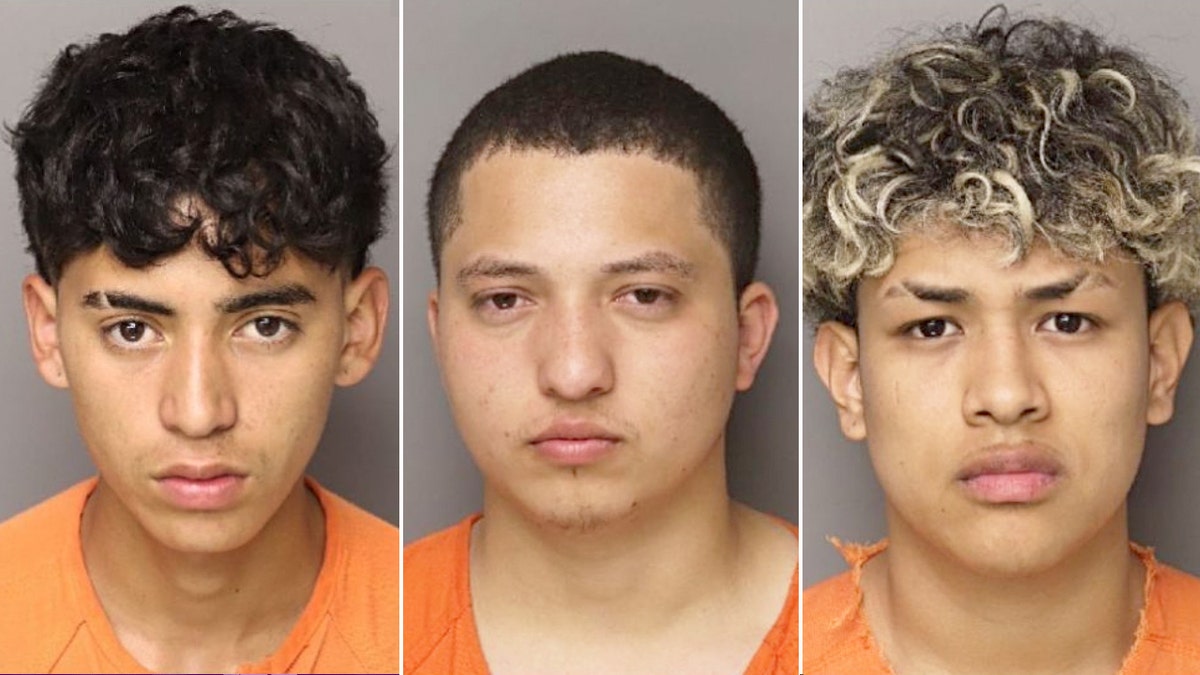 Lancaster SC murder, Larisha Sharrell Thompson, illegal immigrants, Asael Aminadas Torres-Chirinos, Jarby Ardon Ramos-Odari, Jeyson Sobied Pineda-Salgado, Rock Hill, burglary, sheriff Barry Faile, ICE, Department of Homeland Security, immigration detainer, crime, South Carolina
