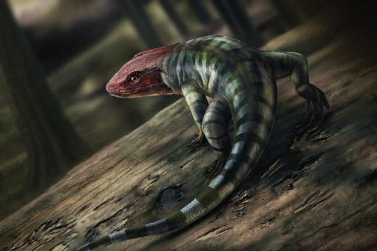 tetrapods, Devonian period, Carboniferous period, amniotes, reptile evolution, fossil footprints, Tiktaalik, evolutionary tree, Per Ahlberg, Grzegorz Niedźwiedzki, Uppsala University, Gondwana, vertebrate paleontology, claw marks, trace fossils
