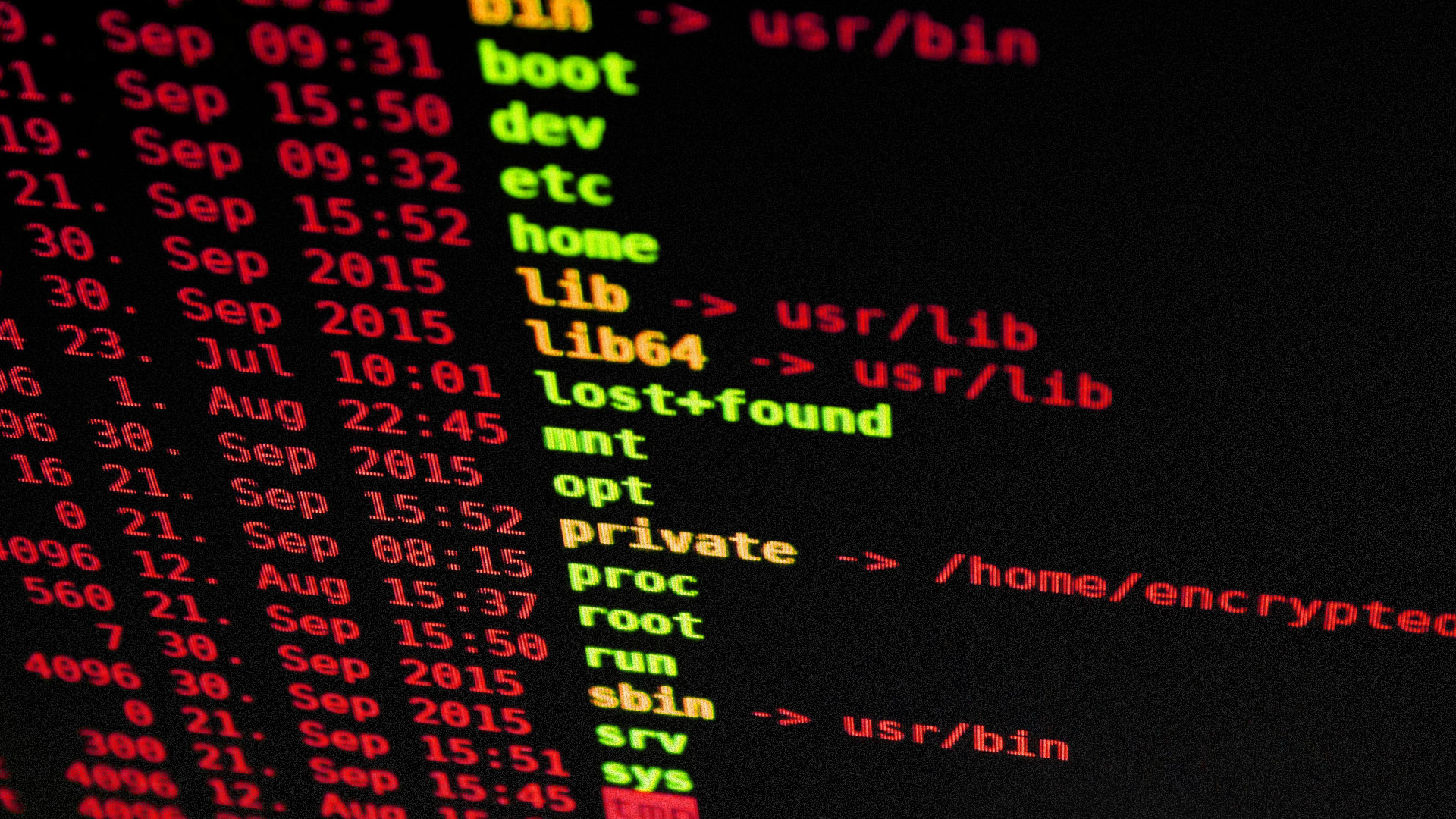 data breach, data leak, cybersecurity, online security, identity theft, fraud protection, password manager, two-factor authentication, passkeys, credit freeze, IRS identity protection PIN, scam prevention, personal data protection, online safety, digital privacy, Alaina Yee, PCWorld
